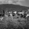Skopje with Eyes Wide Open